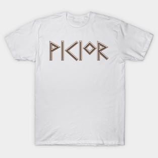 Viking / Vikingr in Futhark Runes - Chiseled in Bone and Burnt Wood T-Shirt